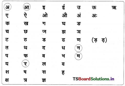 TS 6th Class Hindi Guide 1st Lesson आम ले लो आम! 15