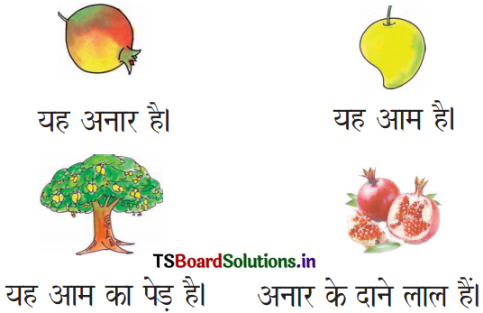 TS 6th Class Hindi Guide 1st Lesson आम ले लो आम! 5