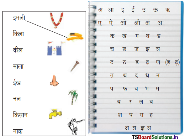 TS 6th Class Hindi Guide 2nd Lesson हमारा गाँव 14