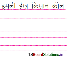 TS 6th Class Hindi Guide 2nd Lesson हमारा गाँव 16