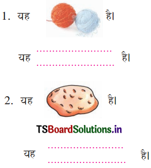 TS 6th Class Hindi Guide 3rd Lesson रेलवे स्टेशन 8