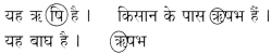TS 6th Class Hindi Guide 4th Lesson बाज़ार 11