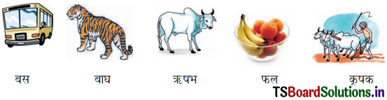 TS 6th Class Hindi Guide 4th Lesson बाज़ार 2