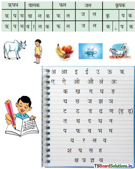 TS 6th Class Hindi Guide 4th Lesson बाज़ार 4