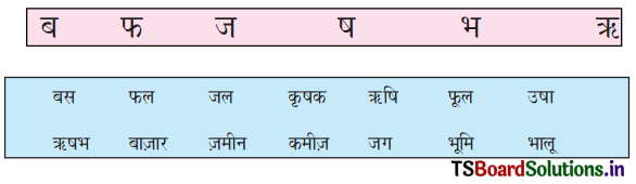 TS 6th Class Hindi Guide 4th Lesson बाज़ार 5