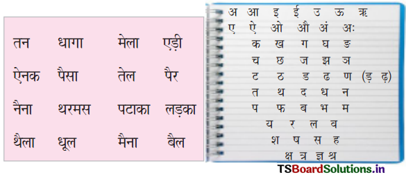 TS 6th Class Hindi Guide 5th Lesson मेरा परिवार 5