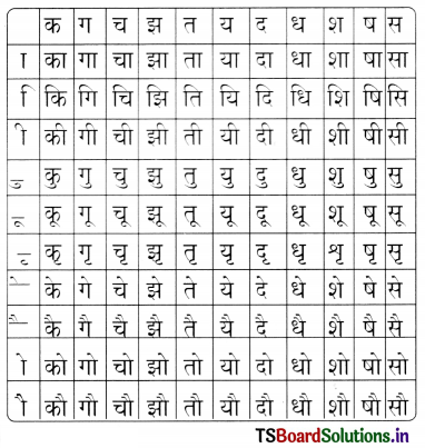 TS 6th Class Hindi Guide 6th Lesson चिड़ियाघर 14