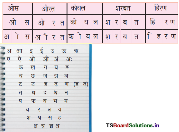 TS 6th Class Hindi Guide 6th Lesson चिड़ियाघर 6