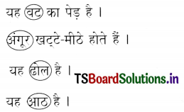 TS 6th Class Hindi Guide 7th Lesson मैदान 11