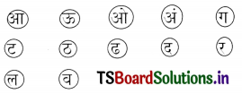 TS 6th Class Hindi Guide 7th Lesson मैदान 12