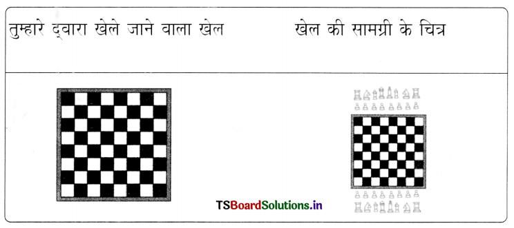 TS 6th Class Hindi Guide 7th Lesson मैदान 17