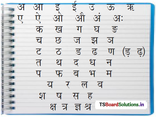 TS 6th Class Hindi Guide 7th Lesson मैदान 19
