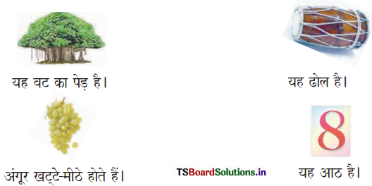 TS 6th Class Hindi Guide 7th Lesson मैदान 2