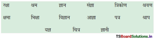 TS 6th Class Hindi Guide 8th Lesson बाल दिवस 2