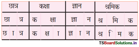 TS 6th Class Hindi Guide 8th Lesson बाल दिवस 3