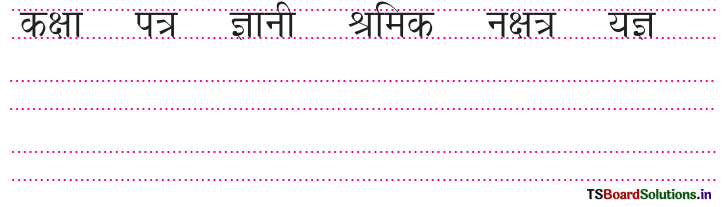 TS 6th Class Hindi Guide 8th Lesson बाल दिवस 6