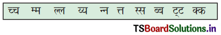 TS 6th Class Hindi Guide 10th Lesson चुक्की और जब्बार 1