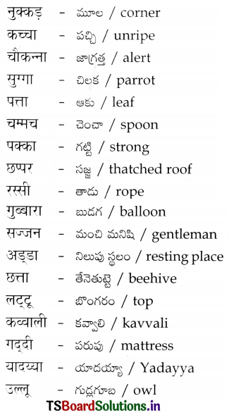TS 6th Class Hindi Guide 10th Lesson चुक्की और जब्बार 10