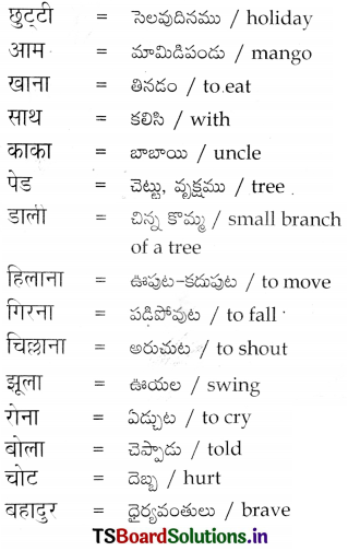 TS 6th Class Hindi Guide 10th Lesson चुक्की और जब्बार 11