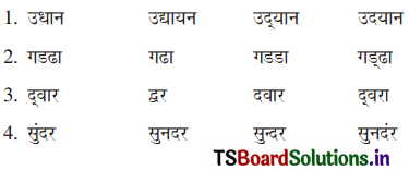 TS 6th Class Hindi Guide 11th Lesson उद्यान 3