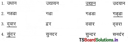 TS 6th Class Hindi Guide 11th Lesson उद्यान 4