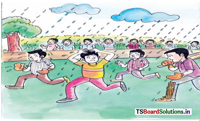 TS 6th Class Hindi Guide 12th Lesson बच्चे चले क्रिकेट खेलने 1