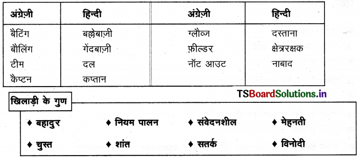 TS 6th Class Hindi Guide 12th Lesson बच्चे चले क्रिकेट खेलने 13