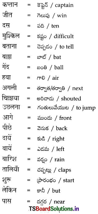TS 6th Class Hindi Guide 12th Lesson बच्चे चले क्रिकेट खेलने 14