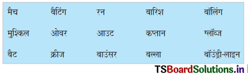 TS 6th Class Hindi Guide 12th Lesson बच्चे चले क्रिकेट खेलने 2