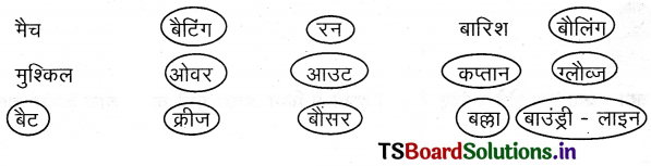 TS 6th Class Hindi Guide 12th Lesson बच्चे चले क्रिकेट खेलने 3