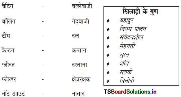 TS 6th Class Hindi Guide 12th Lesson बच्चे चले क्रिकेट खेलने 7