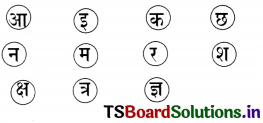 TS 6th Class Hindi Guide 8th Lesson बाल दिवस 11