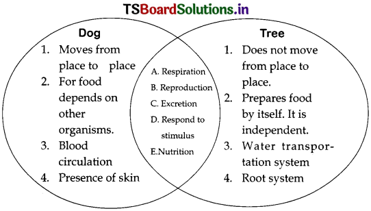 TS 6th Class Science 16th Lesson Questions and Answers Telangana - Living and Non Living 2