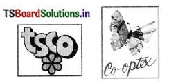 TS 6th Class Science 8th Lesson Questions and Answers Telangana - Fibre to Fabric 4