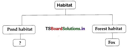 TS-6th-Class-Science-Bits-6th-Lesson-Habitat-Important-2