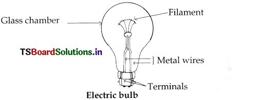 TS-6th-Class-Science-Important-Questions-12th-Lesson-Simple-Electric-Circuits-3