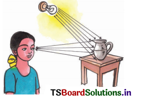 TS-6th-Class-Science-Important-Questions-15th-Lesson-Light-Shadows-and-Images-3