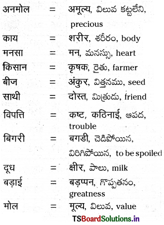 TS 8th Class Hindi Guide 10th Lesson अनमोल रत्न 1