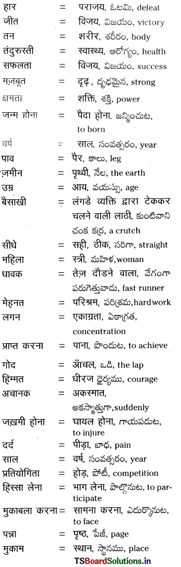 TS 8th Class Hindi Guide 11th Lesson हार के आगे जीत है 1