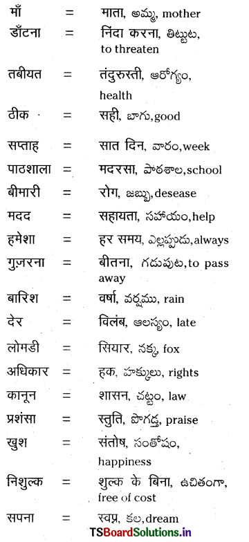 TS 8th Class Hindi Guide 12th Lesson बढ़ते क़दम 1
