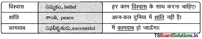 TS 8th Class Hindi Guide 1st Lesson हम होंगे कामयाब 1