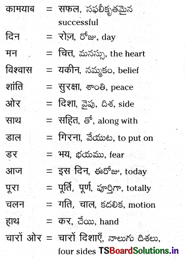 TS 8th Class Hindi Guide 1st Lesson हम होंगे कामयाब 3