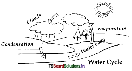 TS Board 6th Class Science Important Questions 3rd Lesson Rain Where Does it Come From 4