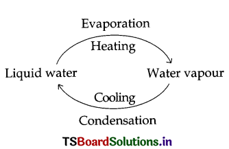 TS Board 6th Class Science Important Questions 7th Lesson Separation of Substances 6