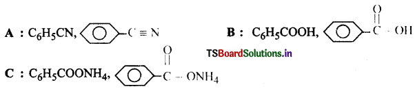 Amines Questions and Answers AP Inter 2nd Year Chemistry Chapter 9 10