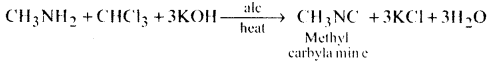 Amines Questions and Answers AP Inter 2nd Year Chemistry Chapter 9 13