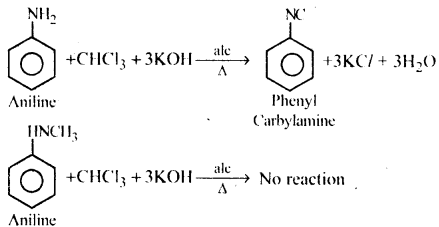 Amines Questions and Answers AP Inter 2nd Year Chemistry Chapter 9 14