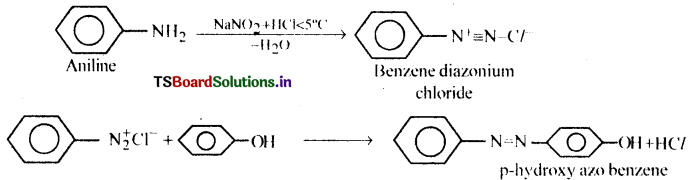 Amines Questions and Answers AP Inter 2nd Year Chemistry Chapter 9 15