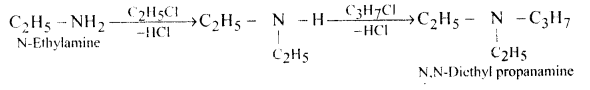 Amines Questions and Answers AP Inter 2nd Year Chemistry Chapter 9 17