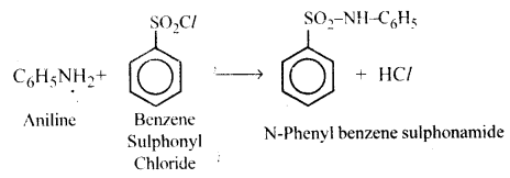 Amines Questions and Answers AP Inter 2nd Year Chemistry Chapter 9 18